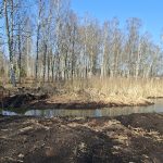 Dzeltenais "Komatsu" ekskavators ar uzrakstu "PC 210 LC" strādā pie grāvja izrakšanas, tā kauss ir pacelts virs zemes kaudzes. Trīs strādnieki atstarojošās vestēs un aizsargķiverēs stāv blakus tranšejai, kuras malā izbūvēta bērza baļķu siena, bet ceturtais strādnieks oranžā ķiverē atrodas bedrē. Fonā redzamas mājas un koki zem zilas debess.