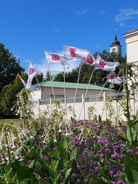 Alūksnes karogi