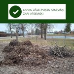 Attēlā divas atsevišķas organiskā materiāla kaudzes: pa kreisi lapu un augu atlieku kaudze, pa labi zaru kaudze. Virs attēla zaļa josla ar ķeksīti un tekstu: LAPAS, ZĀLE, PUĶES ATSEVIŠĶI ZARI ATSEVIŠĶI. Fonā koku un māju ainava ar ūdenstilpni.