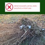 Attēlā redzama sašķirotu dārza atkritumu kaudze: lapas, zāle un puķes vienā kaudzē, un zari otrā. Zaļā rāmī ar ķeksīti rakstīts: LAPAS, ZĀLE, PUĶES ATSEVIŠĶI ZARI ATSEVIŠĶI. Fonā lauku ainava ar kokiem un ēkām.