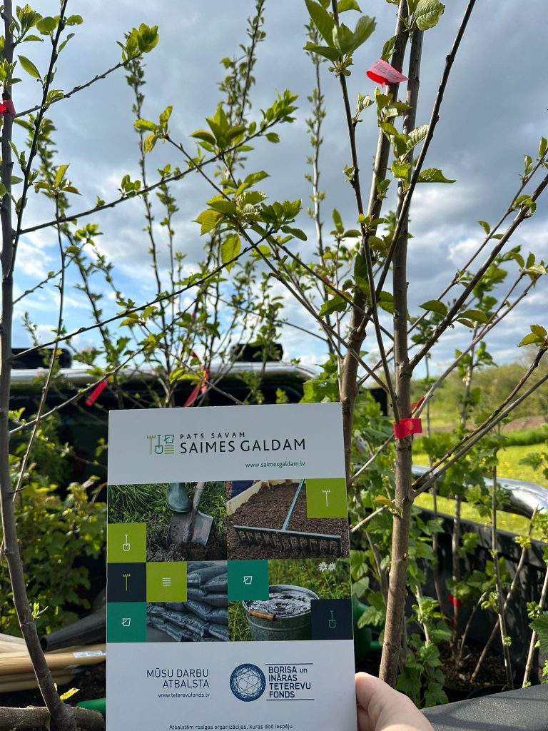 Roka tur brošūru, ko ieskauj jauni, zaļojoši stādi zem mākoņainām debesīm. Uz brošūras rakstīts "PATS SAVAM SAIMES GALDAM" un "www.saimesgaldam.lv". Tajā attēloti dārza darbi – lāpsta, grābeklis, augsnes maisi un ūdens spainis. Apakšā redzams teksts "MŪSU DARBU ATBALSTA BORISA UN INĀRAS TETEREVU FONDS" ar adresi "www.teterevufonds.lv" un "Atbalstām rosīgas organizācijas, kuras dod iespēju".