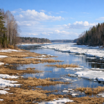 Upē peld ledus gabali, tās krastos redzams kūstošs sniegs un sausa, brūna zāle, ko ieskauj priežu un bērzu meži zem zilas debess ar baltiem mākoņiem.