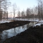 Šaurs grāvis ar tumšas, uzraktas zemes krastiem vijas cauri sniegotai kailkoku birzij, kuras koki atspoguļojas ūdenī.