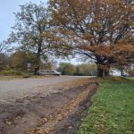 Rudens ainava ar lapām klātu grants ceļu, uz kura novietots balts limuzīns. Blakus ceļam stāv divi lieli ozoli ar brūnām lapām, kreisajā pusē ir veca ēka, bet labajā pusē – grāvis un zaļa zāle.