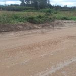 Neasfaltēts zemes ceļš ar riepu sliedēm, blakus lauks ar augstiem augiem un krūmiem zem mākoņainām debesīm.