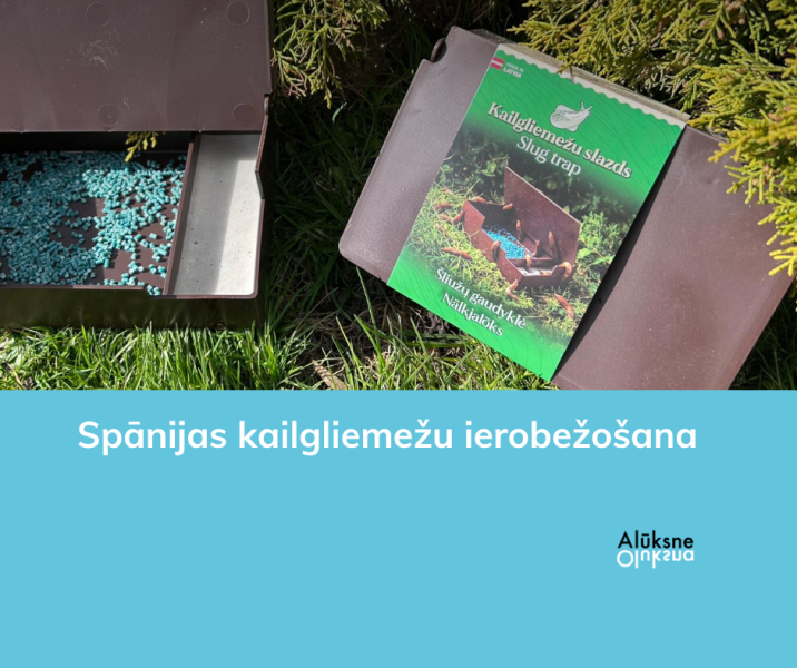 SPĀNIJAS KAILGLIEMEŽI – ESAM MODRI