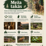 Annas un Kalncempju mednieku klubu “ANNMEKS” un “KalnMeKs” 35. jubilejas ieskaņas izstāde