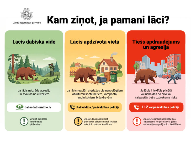 Informatīvs attēls ar nosaukumu "Kam ziņot, ja pamani lāci?"