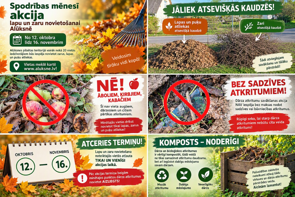 Spodrības mēnesī būs akcija lapu un zaru novietošanai Alūksnē